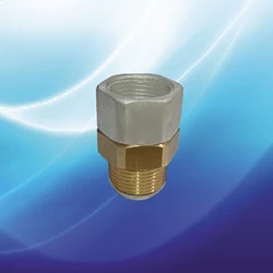 هرزگرد زیر نازل